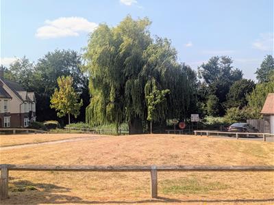 Picture 21